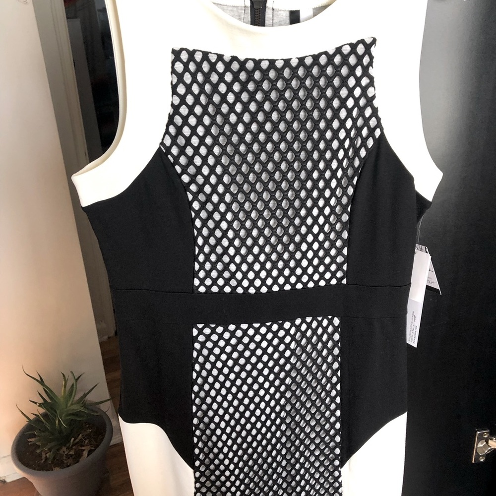 Contrast Sheath dress.